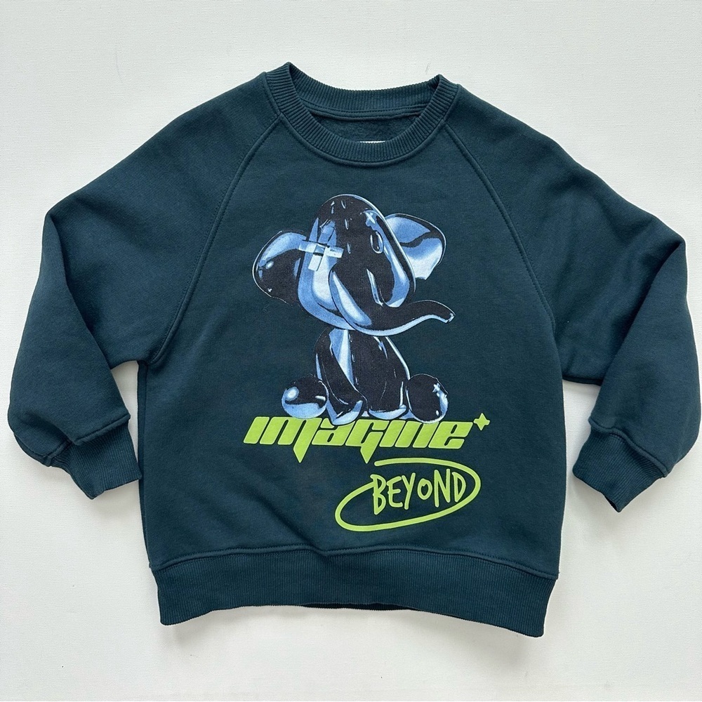 Zara Kids 3D Elephant Sweatshirt Size 6-7